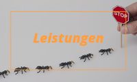 Wir beraten und helfen Ihnen bei Schädlingen aller Art | Schädlingsbekämpfung Bad Harzburg